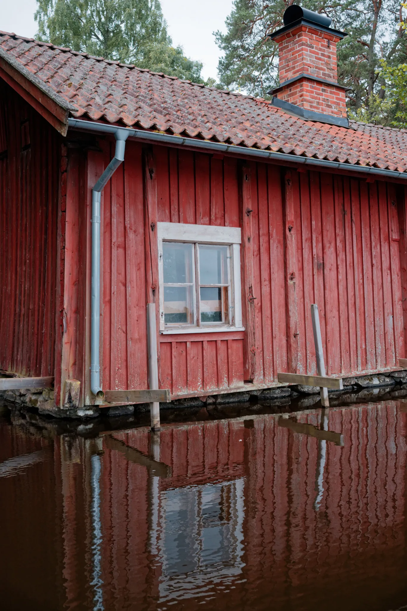 Uploaded image