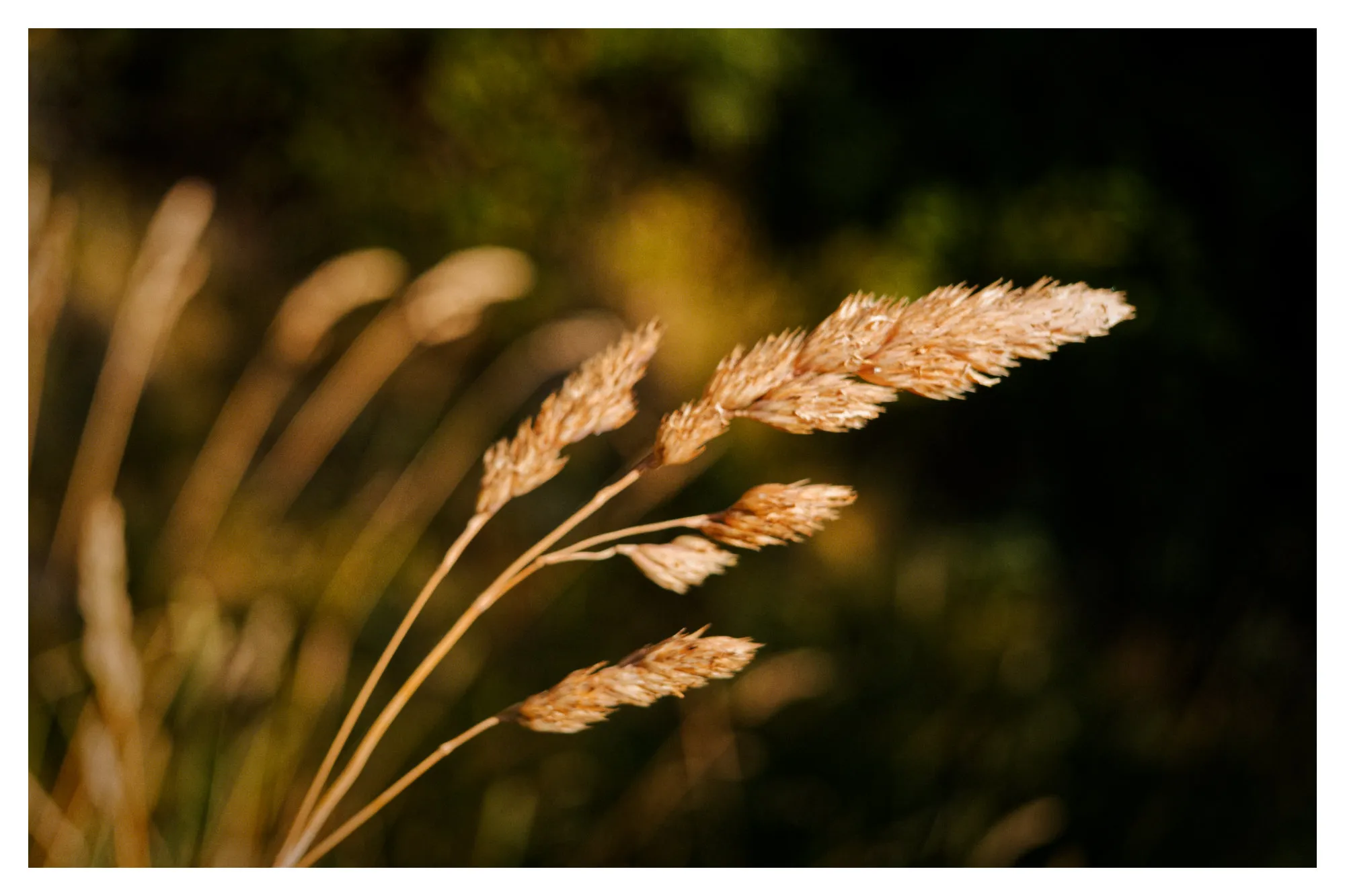 Uploaded image