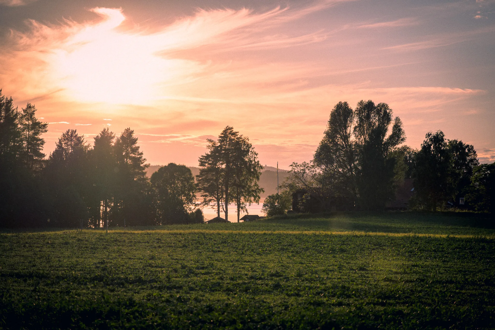 Uploaded image
