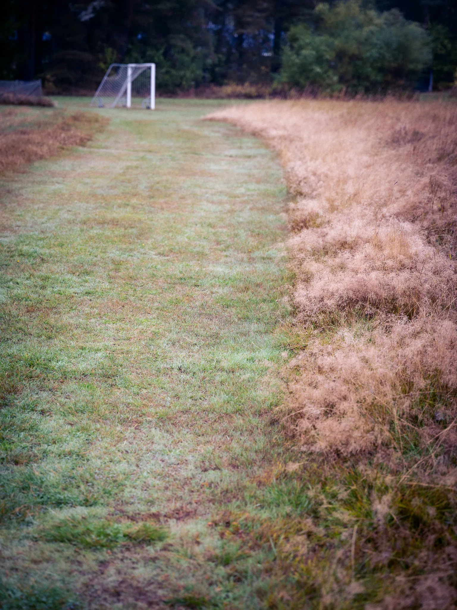 Mown path through a field towards a football goal