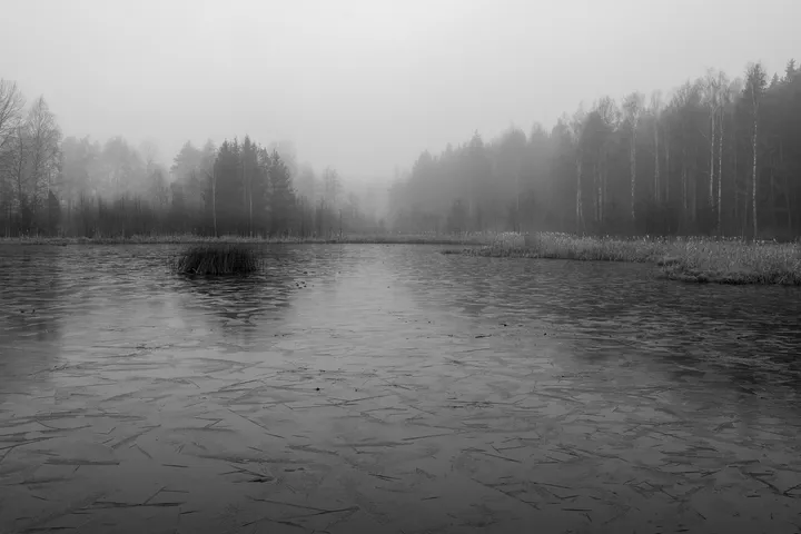 Photo 48