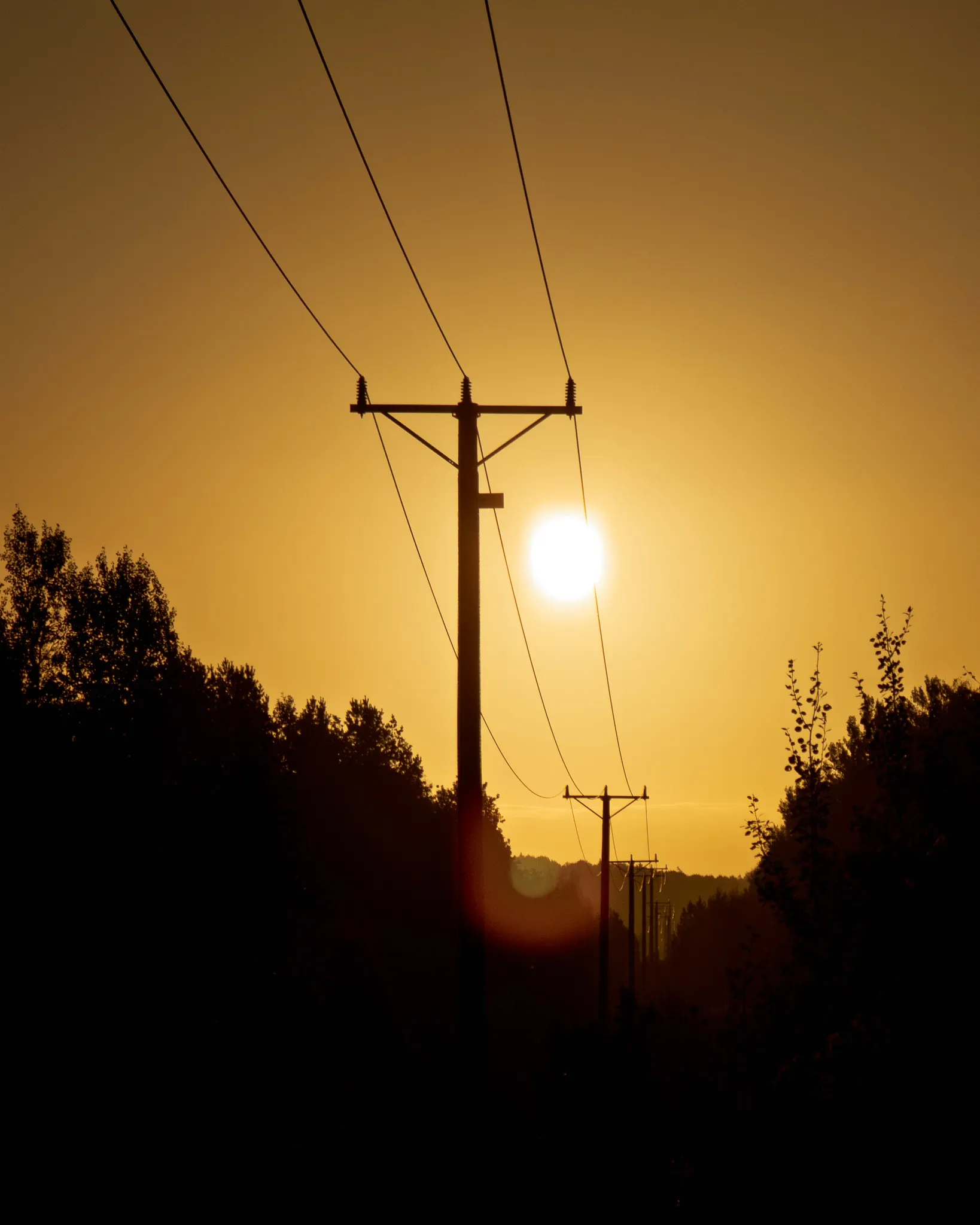Power line poles silhouetted against the rising sun between trees